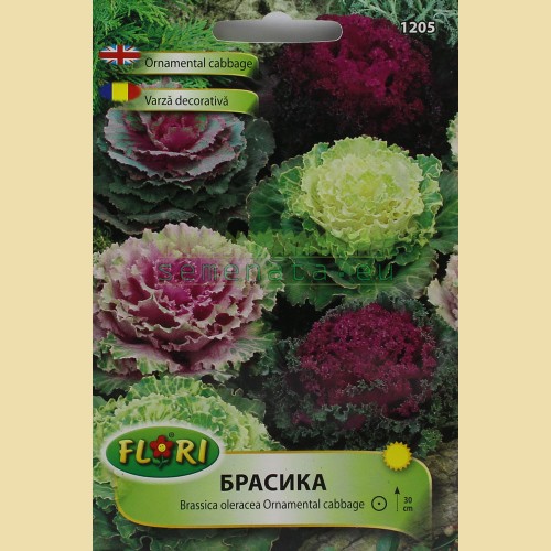 Семена на цветя Брасика (Декоративно зеле)