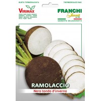 РЯПА ЧЕРНА КРЪГЛА ЗИМНА – Franchi Sementi