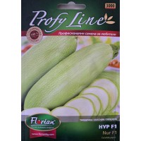 Семена за тиквички Нур F1(Nour F1) – Profy Line