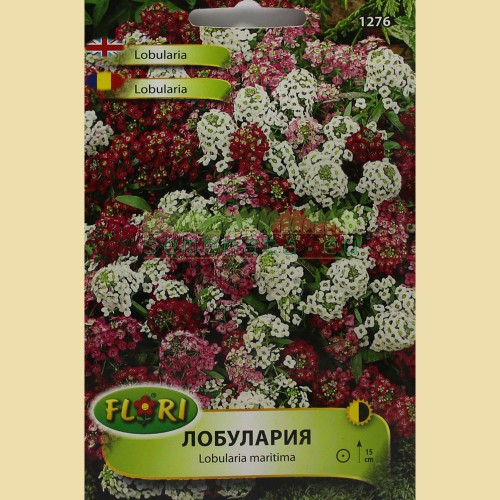 Семена на Лобулария (Алисум, Lobularia maritima)