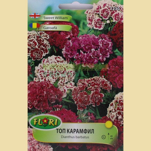 Семена на цветя Топ Карамфил
